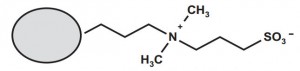 Figura 6. La fase estacionaria Syncronis HILIC tiene un grupo funcional zwitteriónico de tipo sulfobetaina.