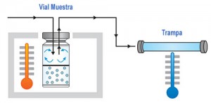 Figura 1. Esquema de funcionamiento de un Sistema Dinámico (Purge&Trap)