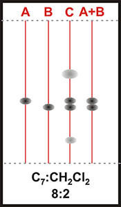 Figura 6. Placa A. SiO2 con Heptano:CH2Cl2. FT= Fuerza Total, A=% A, FA= Fuerza A (Heptano 0.01), B=%B, FB= Fuerza B (Cloruro de Metileno 0.42)