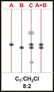 Figura 7. Placa B. SiO2 con Heptano:CHCl3. FT= Fuerza Total, A=% A, FA= Fuerza A (Heptano 0.01), B=%B, FB= Fuerza B (Cloroformo 0.40)
