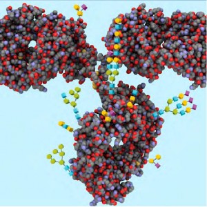 Glycan-2